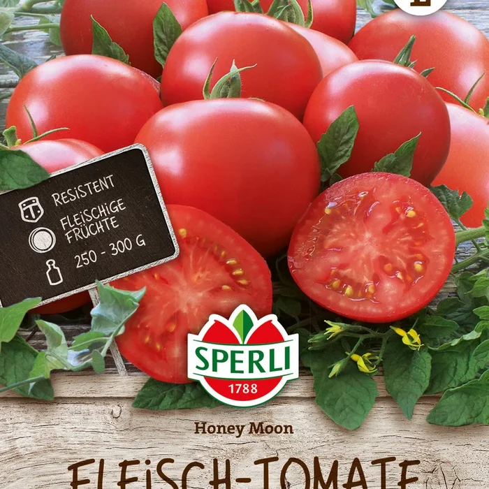 SPERLI Fleischtomate Honey Moon