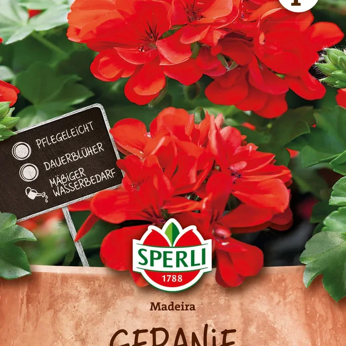 SPERLI Geranie Madeira