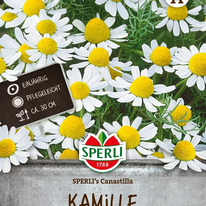 SPERLI Kamille SPERLI’s Canastilla