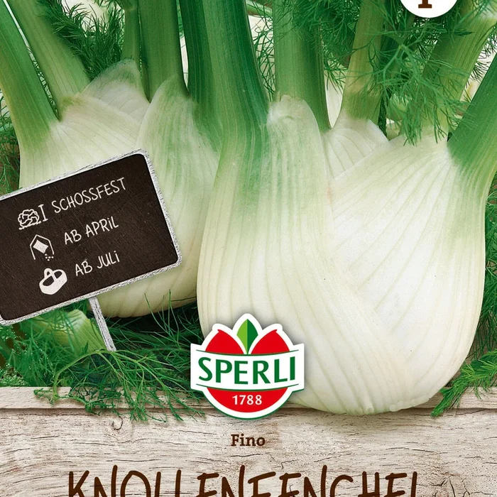SPERLI Knollfenchel Fino
