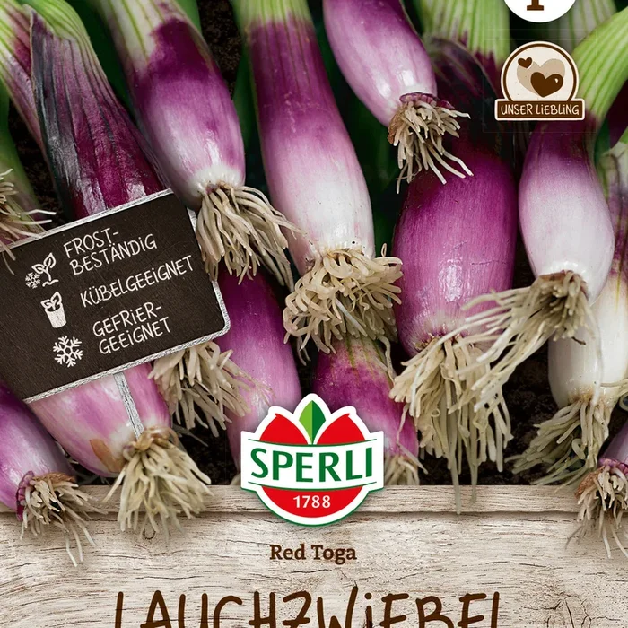 SPERLI Lauchzwiebel Red Toga