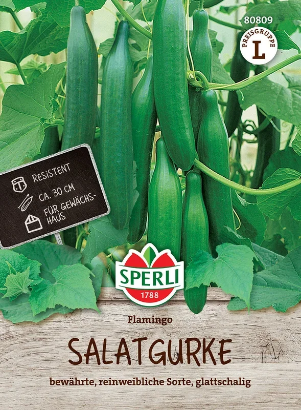SPERLI Salatgurke ‚Flamingo‘, F1
