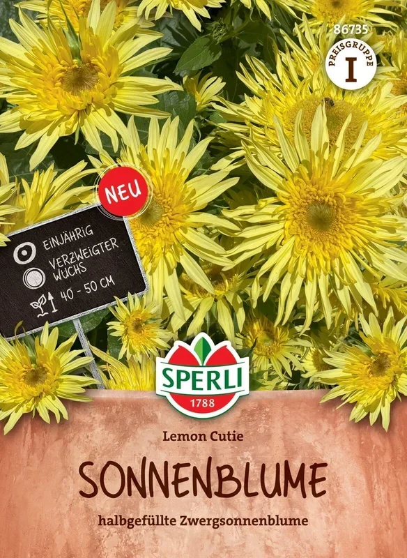 Sperli Sonnenblume Lemon Cutie