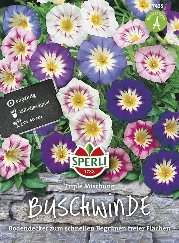 Sperli Winden Triple Mischung, blau, rosa, weiße Blüten