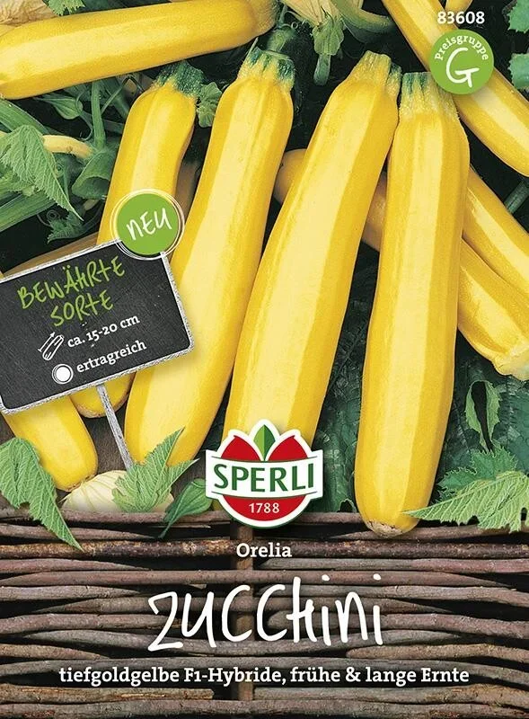 Sperli Zucchini Orelia F1, goldgelbe Farbe und längliche Früchte, ein echter Blickfang im Gemüsebeet