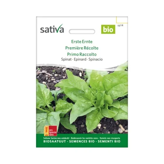 Spinat Erste Ernte Biosamen sp14