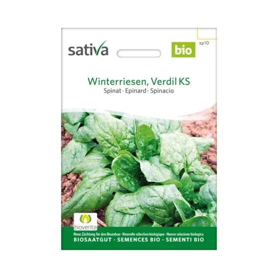 Spinat Winterriesen, Verdil Ks Biosamen sp10