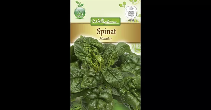 Spinatsamen ‚Matador‘