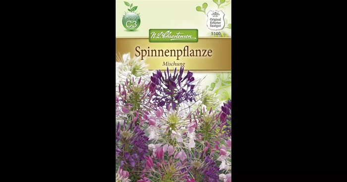 Spinnenblumensamen