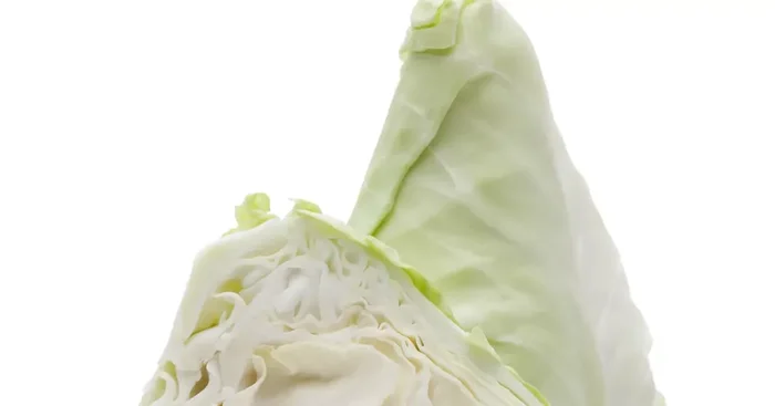 Spitzkohl