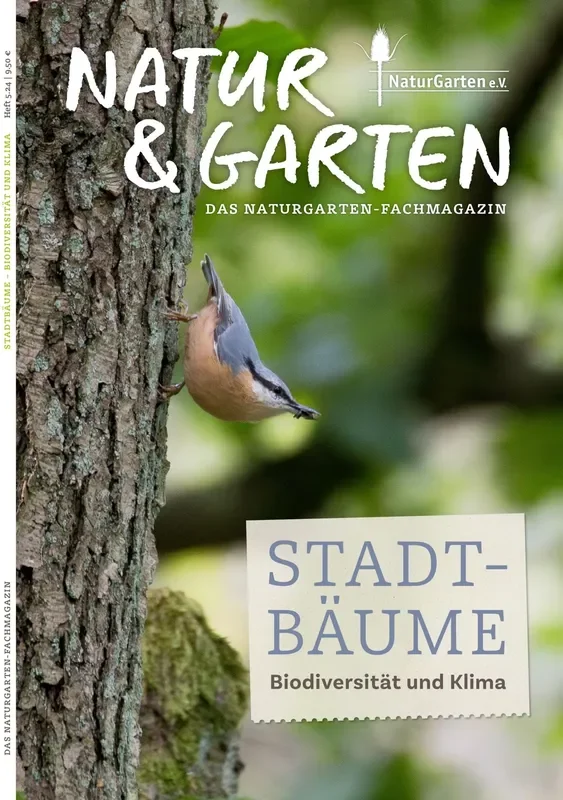 Stadtbäume – Biodiversität und Klima