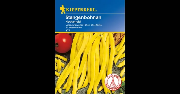 Stangen-Bohne ‚Neckargold‘