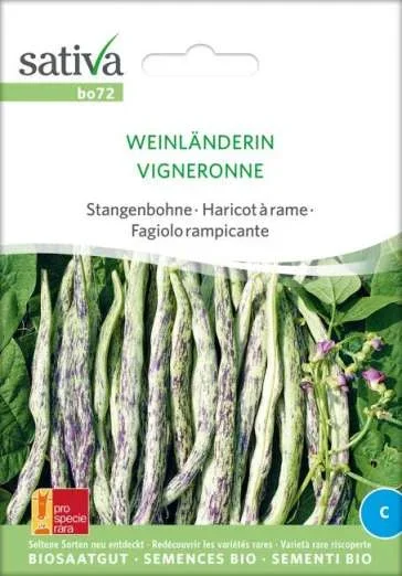 StangenbohneWeinländerin