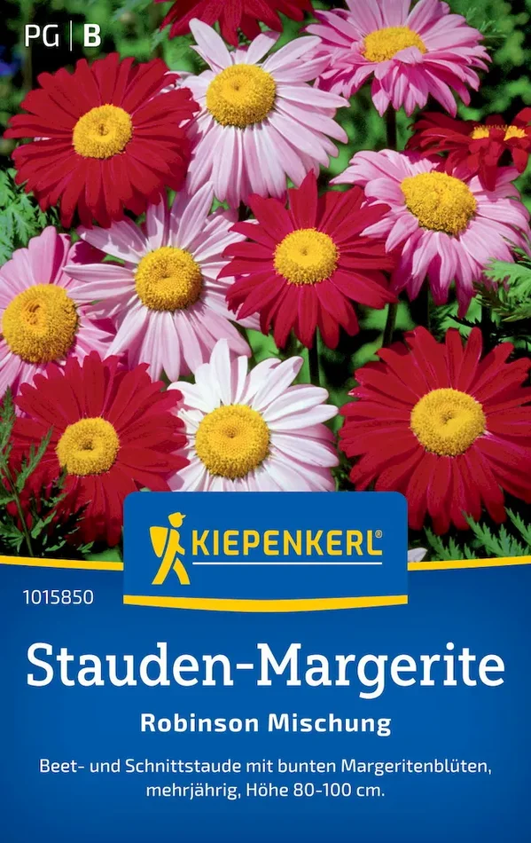 Stauden-Margeritensamen Robinson Mischung