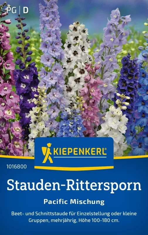 Stauden-Rittersporn Pacific Mischung, Beet- und Schnittstaude – mehrjährig – Höhe 100-180 cm