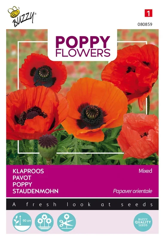 Staudenmohn Oriental