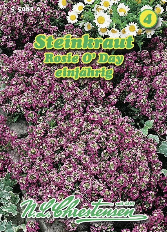 Steinkraut Rosie O`Day [MHD 01/2025]