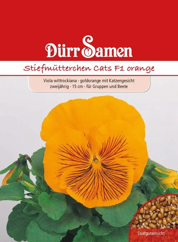 Stiefmütterchen Cats F1 orange