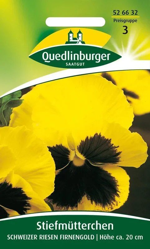 Stiefmütterchen Schweizer Riesen Firnengold