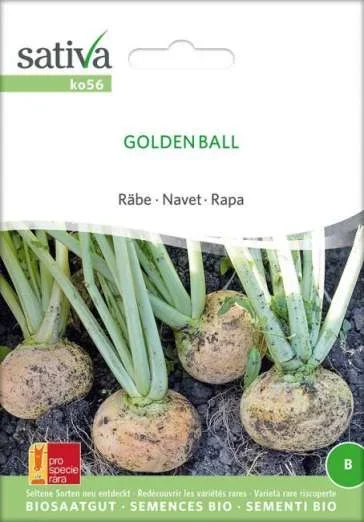 StoppelrübeGolden Ball
