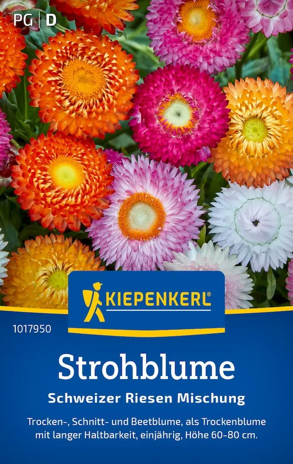 Strohblumensamen Schweizer Riesen Mischung