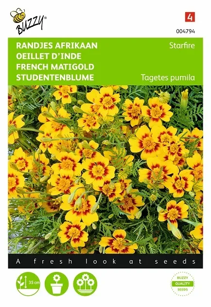 Studentenblume-Samen ‚Starfire‘