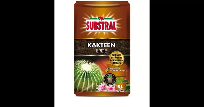 Substral Kakteenerde