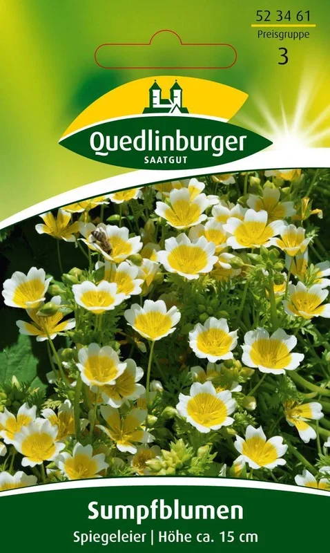 Sumpfblume Spiegeleier