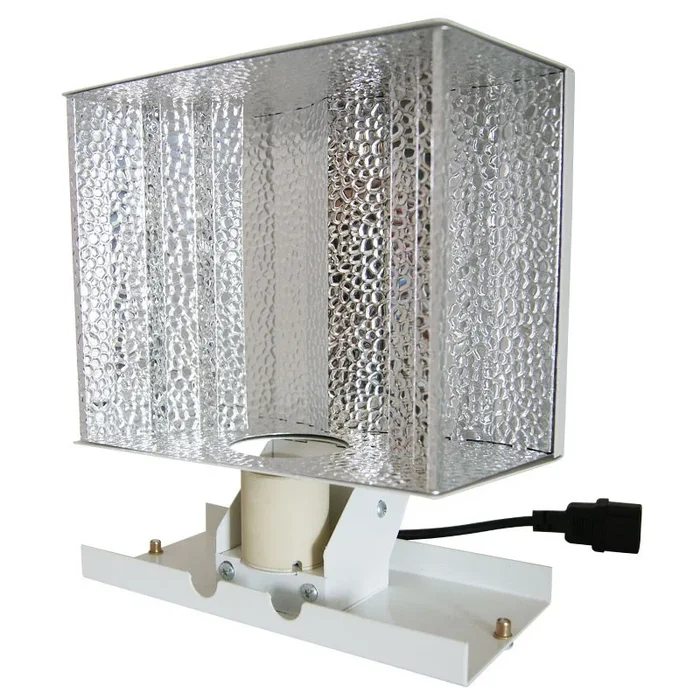 Superplant – Reflektor Wide – CMH
