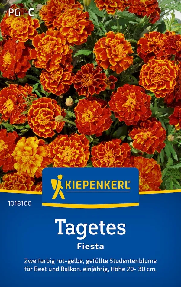 Tagetessamen Fiesta