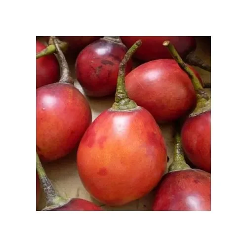 Tamarillo