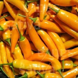 Tequila Sunrise – Paprika mild