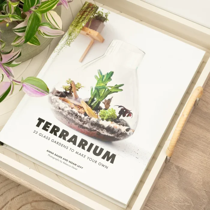 Terrarium – 33 Glass Gardens To Make Your Own