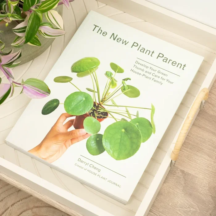 The New Plant Parent by Darryl Cheng