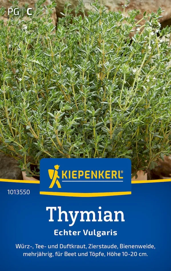 Thymiansamen Echter Vulgaris