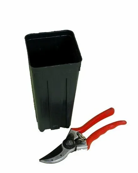 Tiefer viereckiger Palmentopf – 9 x 9 cm / 1,4 ltr