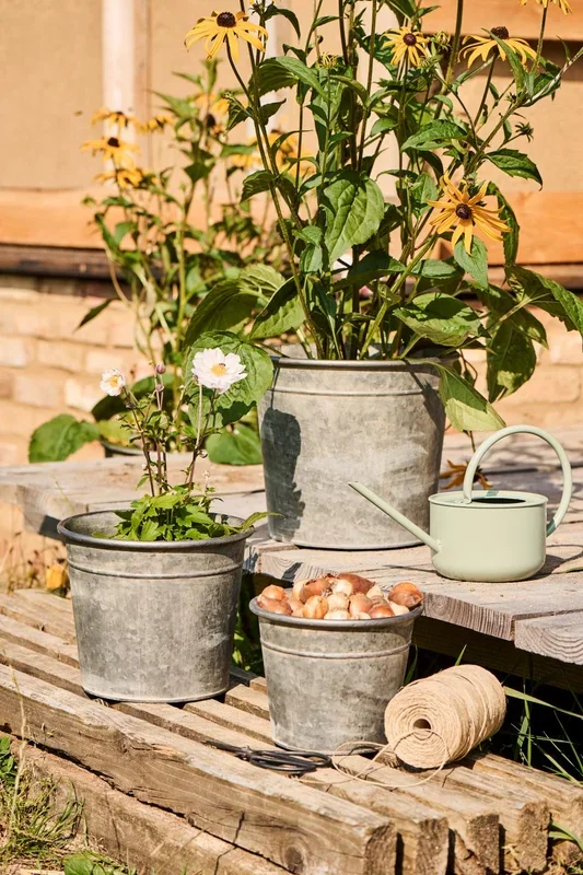 Tin Pots