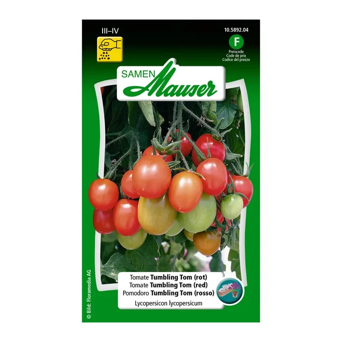 Tomate ‚Tumbling Tom‘