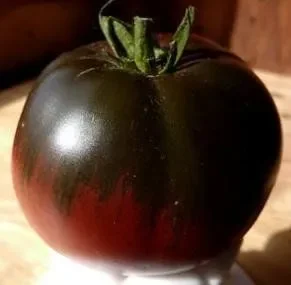 Tomate Black Sea Man