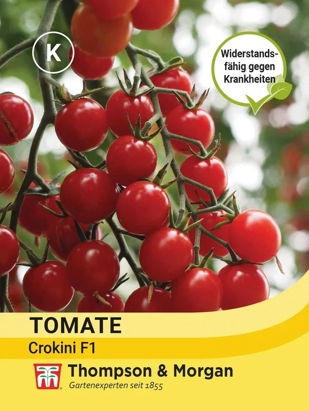 Tomate Crokini F1