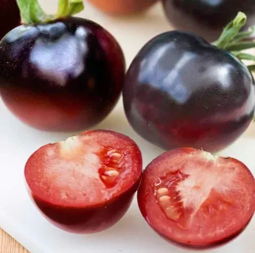 Tomate Indigo Rose