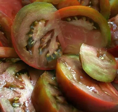 Tomate Prudens Purple