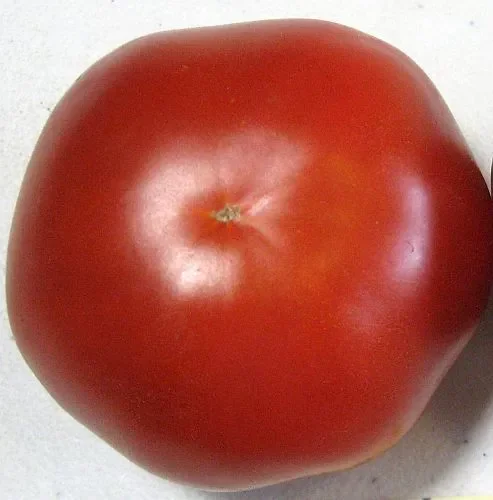 Tomate Saint Pierre
