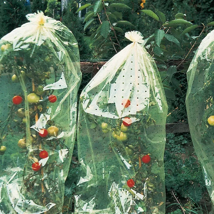 Tomaten-Hauben, gelocht, 10 x 0,65 m Bestellnummer 7712601