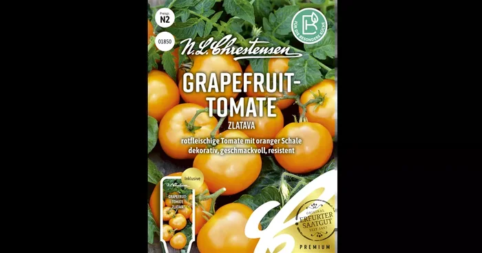Tomatensamen ‚Zlatava‘