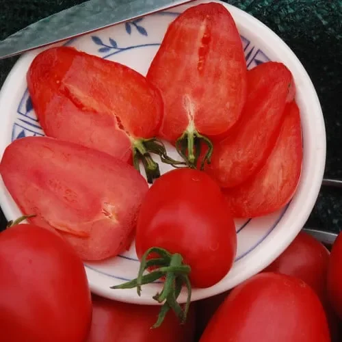 Tomato German Red Strawberry