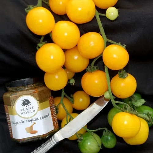 Tomato Hartman’s Yellow Gooseberry