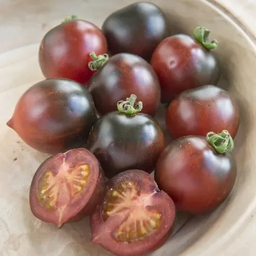Tomato Indigo Cherry Drops