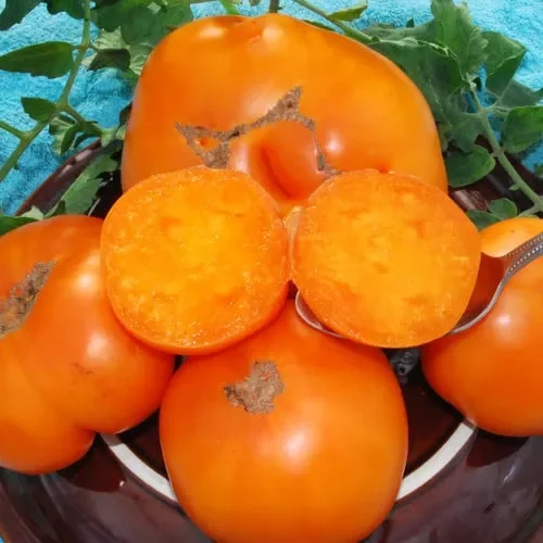 Tomato Kellog’s Breakfast