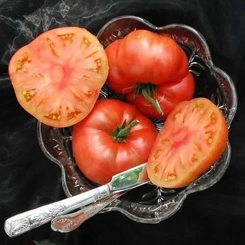 Tomato Marianna’s Peace